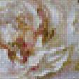 Предпросмотр схемы вышивки «Розы» (№903893)