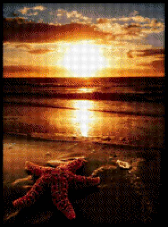 №903959 - предпросмотр