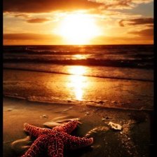 Схема вышивки «№903959»