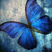 Схема вышивки «синяя бабочка»