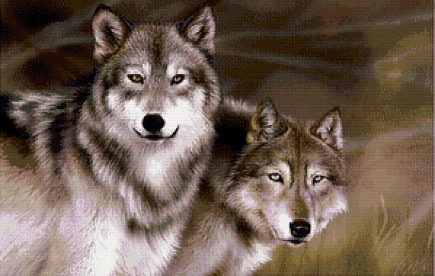 Волки - волки, лес, животные - предпросмотр