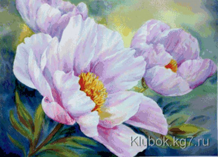 чудо - цветы - предпросмотр