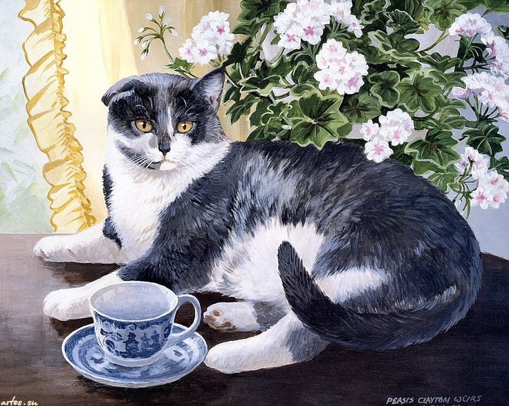 умиротворение - коты, кот - оригинал