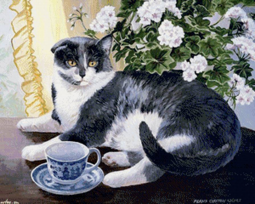 умиротворение - коты, кот - предпросмотр