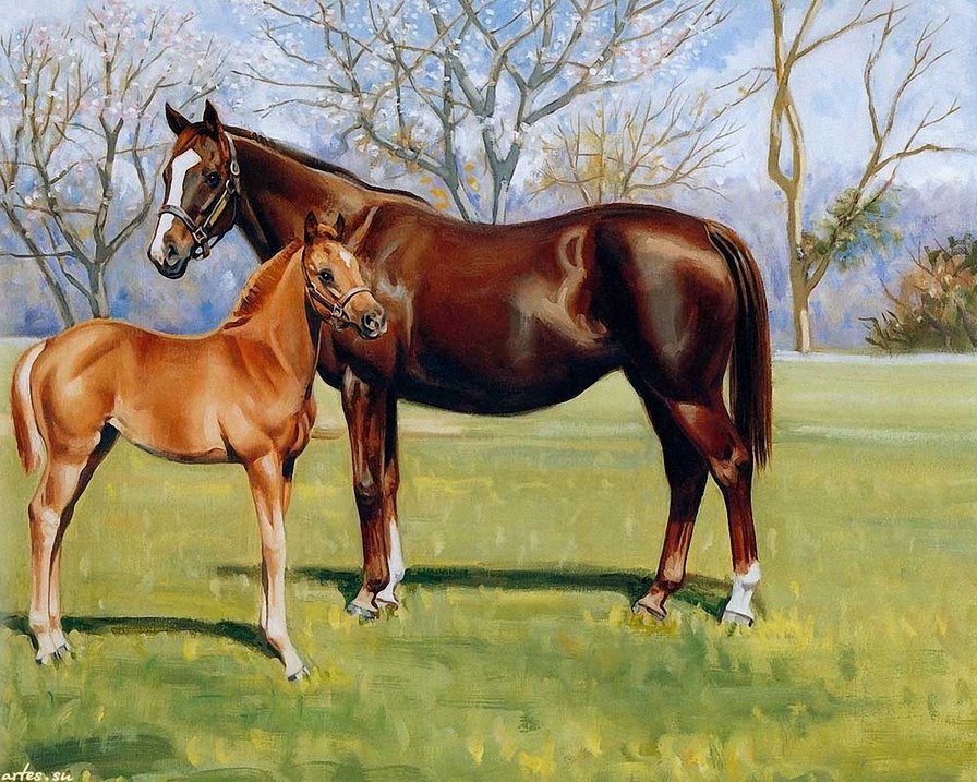 лошадь с жеребёнком - ребенок, жеребец, животные, мать, лошадь, природа, семья - оригинал