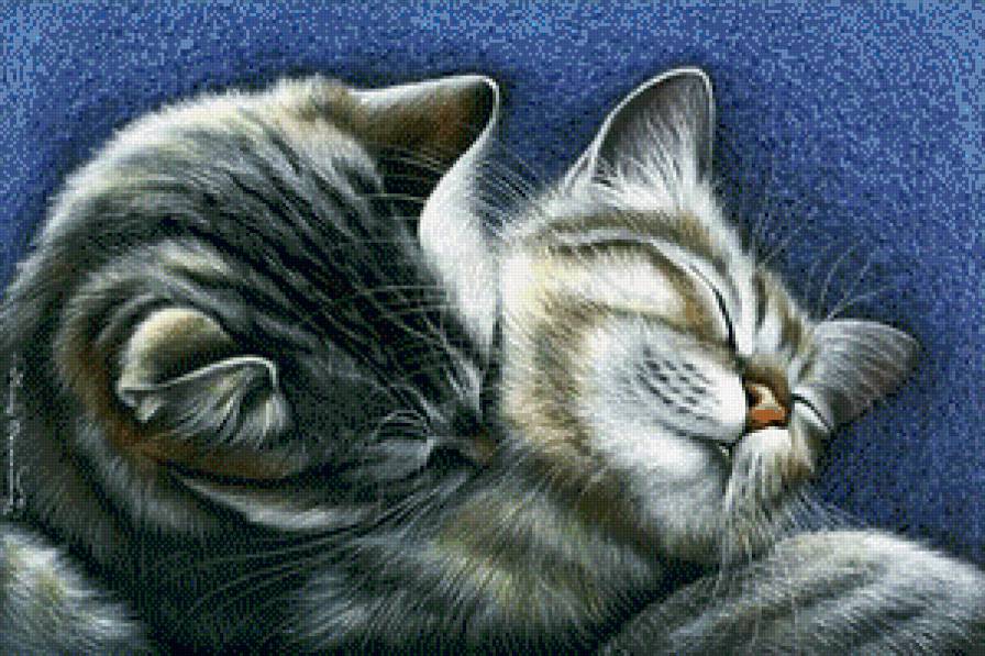 картина - кошки, животные, звери - предпросмотр