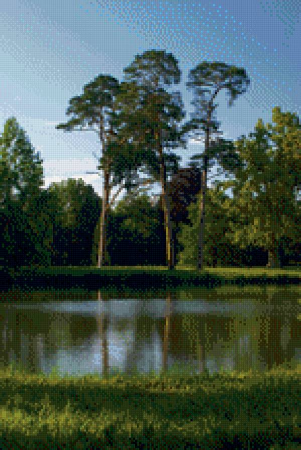 сосны на берегу реки - пейзаж, река, сосны, природа - предпросмотр