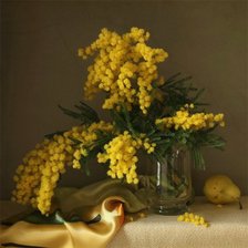 Схема вышивки «Мимоза в банке»