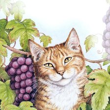 Схема вышивки «лапушка»