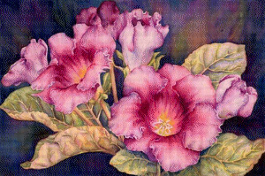 №904704 - предпросмотр