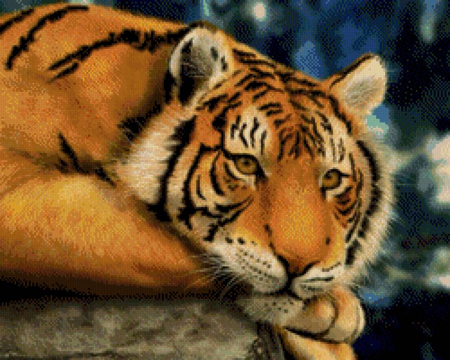 Тигр - тигр - предпросмотр