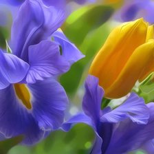 Схема вышивки «ИРИСЫ И ТЮЛЬПАНЫ»