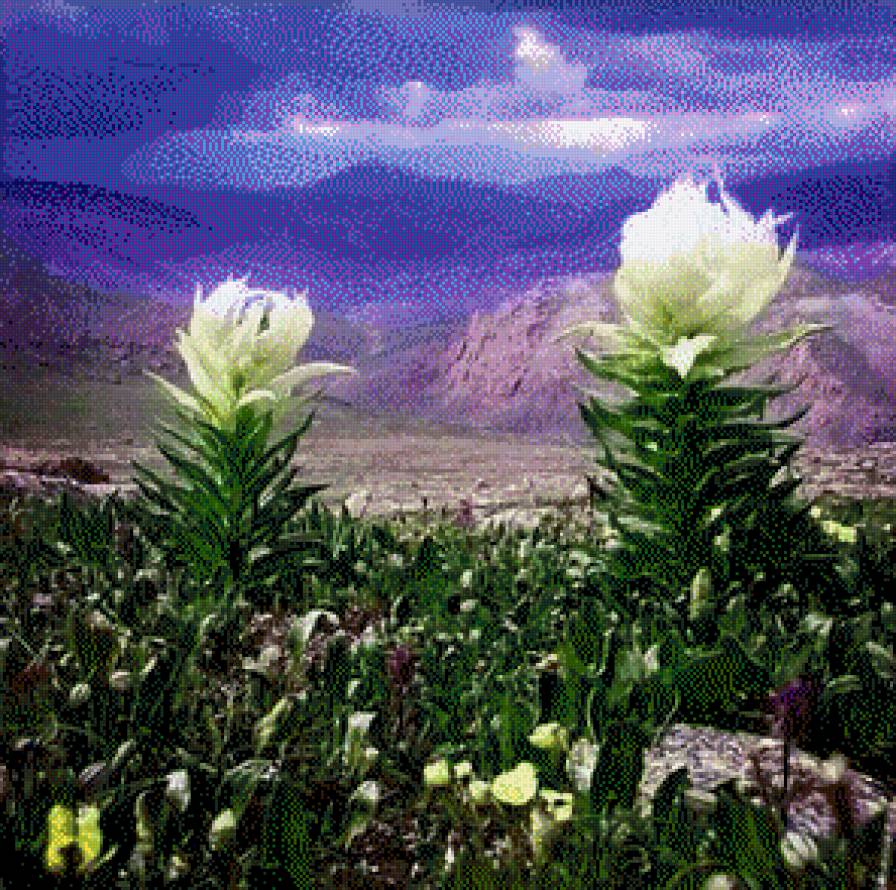 вансэмбэрүү - предпросмотр