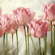 Схема вышивки «№904802»