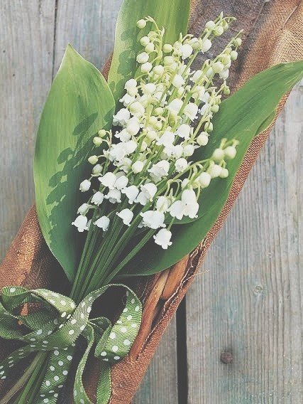 ландыши - оригинал