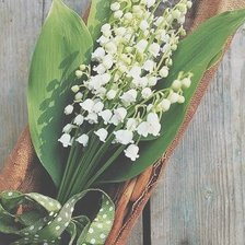 Схема вышивки «ландыши»