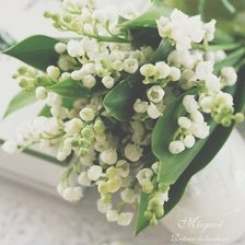 Схема вышивки «ландыши»