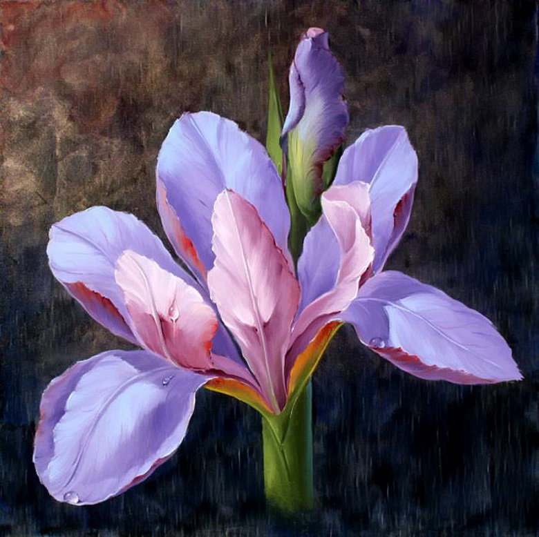 ирис - оригинал