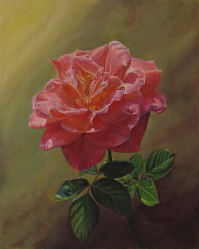 роза - розы - оригинал