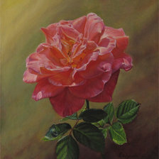 Схема вышивки «роза»