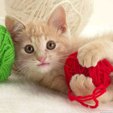 Схема вышивки «Котенок с нитками»