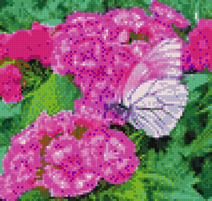 Бабочка - предпросмотр