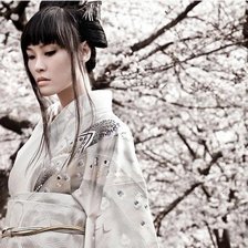 Схема вышивки «Гейша»