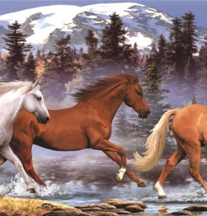 Табун (часть 2) - табун, природа, лошади - оригинал