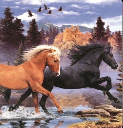 Табун (часть 3) - табун, лошади, природа - оригинал