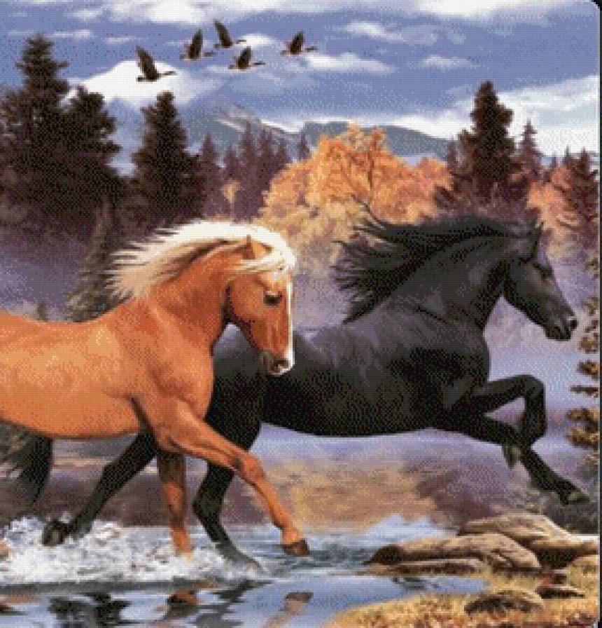 Табун (часть 3) - природа, лошади, табун - предпросмотр