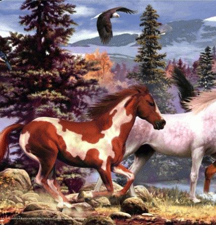 Табун (часть 1) - природа, лошади, табун - оригинал