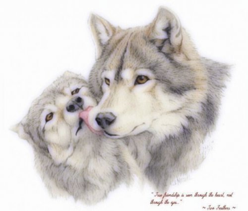 верность - волки - оригинал