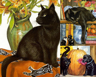 красавец - кот, коты - оригинал