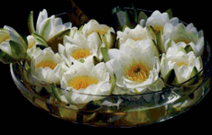 лотосы - ваза, цветы - предпросмотр