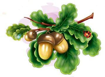 дубочки - оригинал