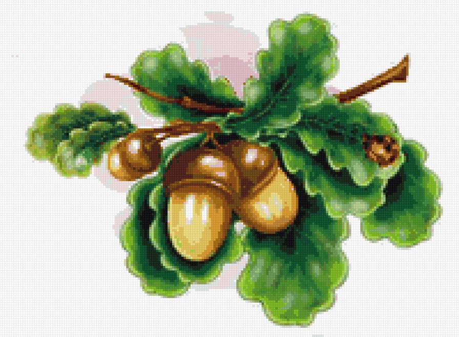 дубочки - предпросмотр