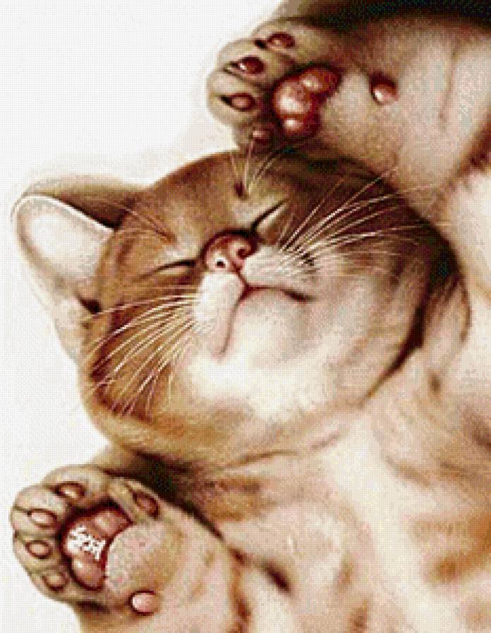 соня - предпросмотр