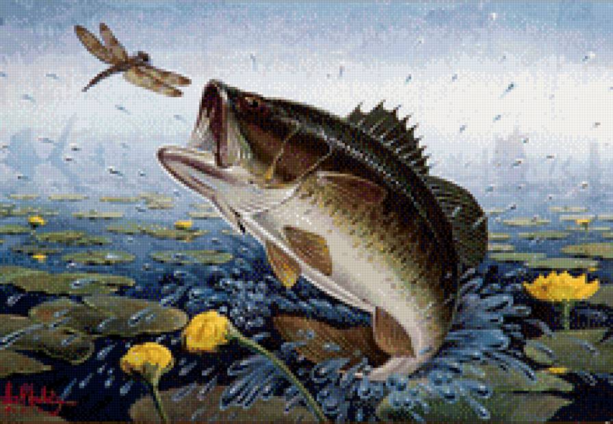 206 - картина, вода, природа, рыбка, красота, лето - предпросмотр