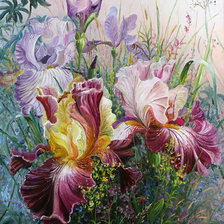 Схема вышивки «ирисы»