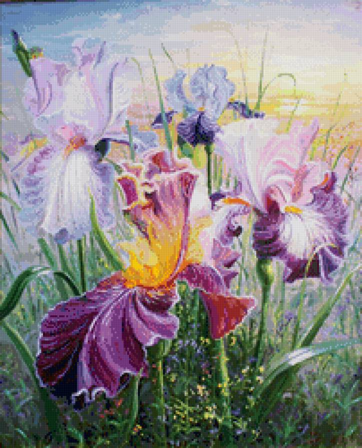 ирисы - ирисы, цветы - предпросмотр