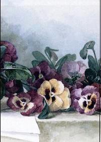 цветы Лонгпре3 - оригинал