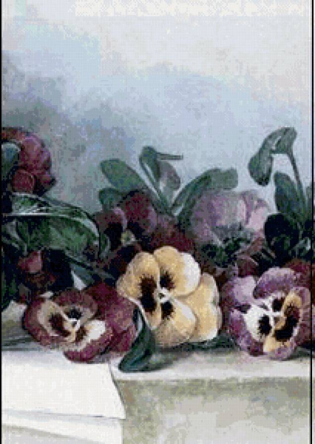 цветы Лонгпре3 - предпросмотр