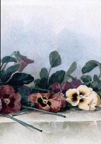 цветы Лонгпре4 - оригинал