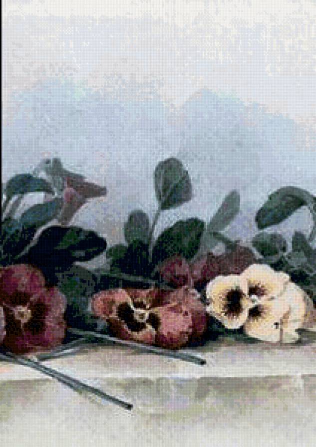 цветы Лонгпре4 - предпросмотр