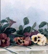 Оригинал схемы вышивки «цветы Лонгпре4» (№906671)