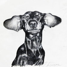 Схема вышивки «веселая такса»