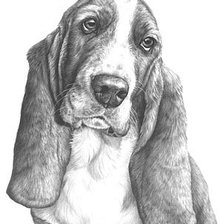 Схема вышивки «собака6»