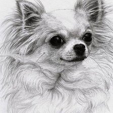 Схема вышивки «собака4»