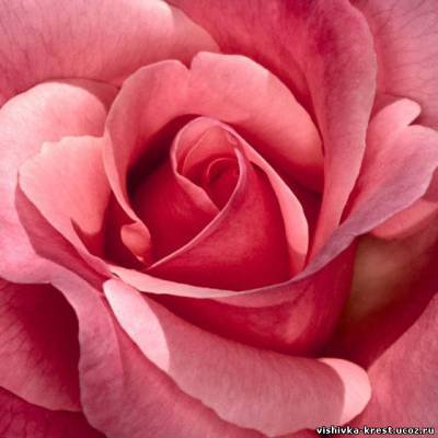 розочка подушка для иголок - оригинал