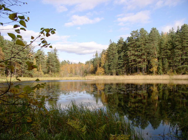 Озеро Селигер - пейзаж, природа, озеро - оригинал